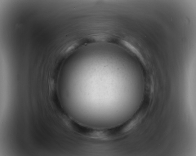 X0000086030117200703301103