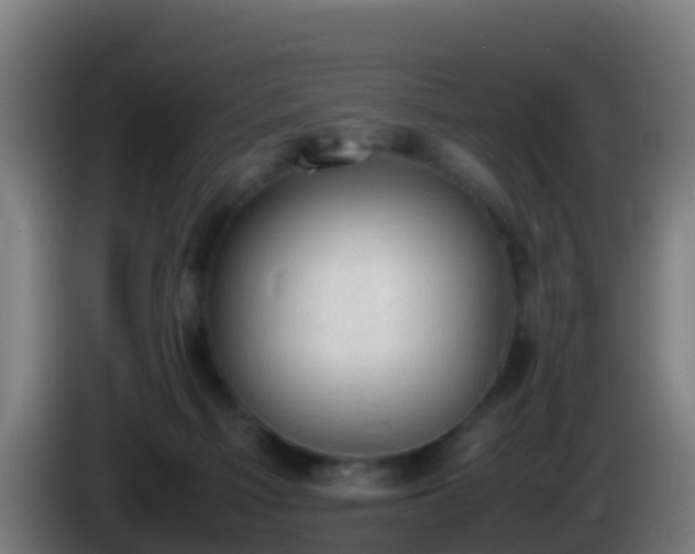 X0000086030121200703301102