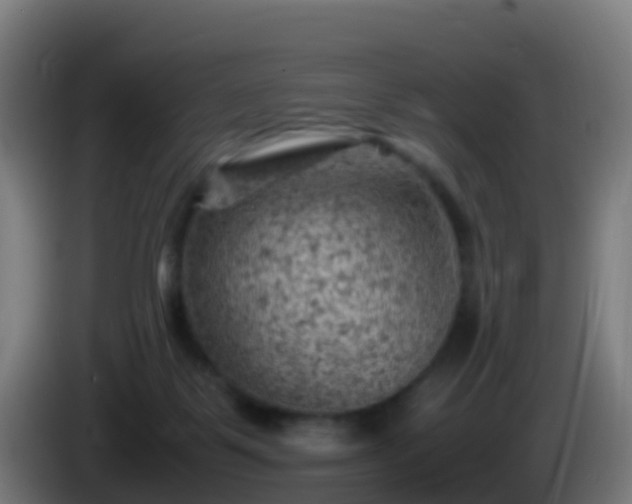 X0000086030123200703301102