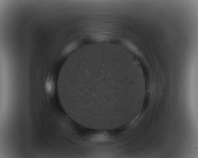 X0000086030124200703301102