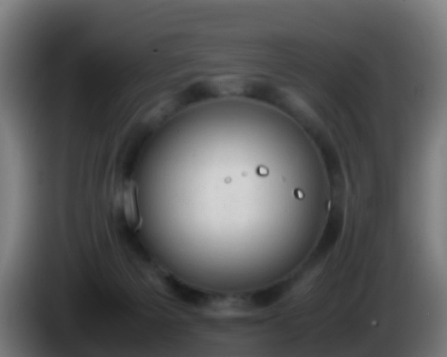 X0000086030125200703301102