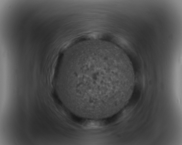 X0000086030127200703301102