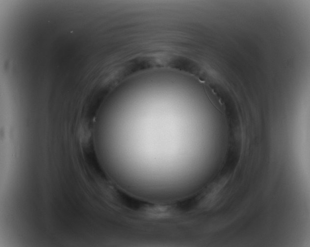 X0000086030129200703301102