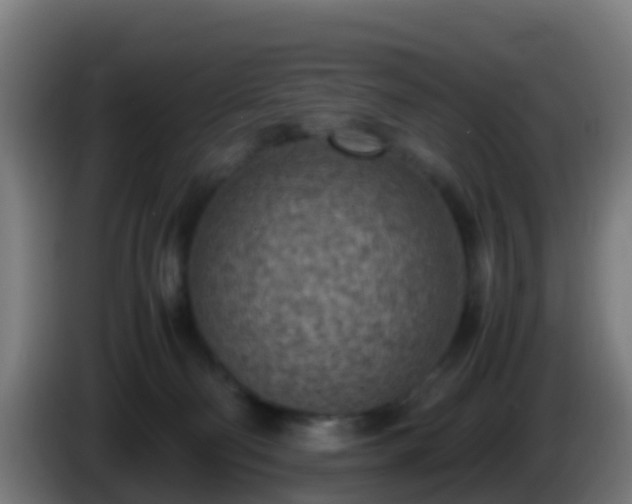 X0000086030130200703301102