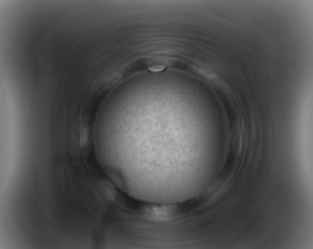 X0000086030134200703301102