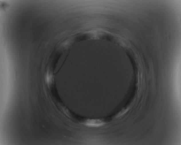 X0000086030137200703301102