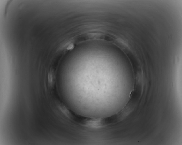 X0000086030138200703301102