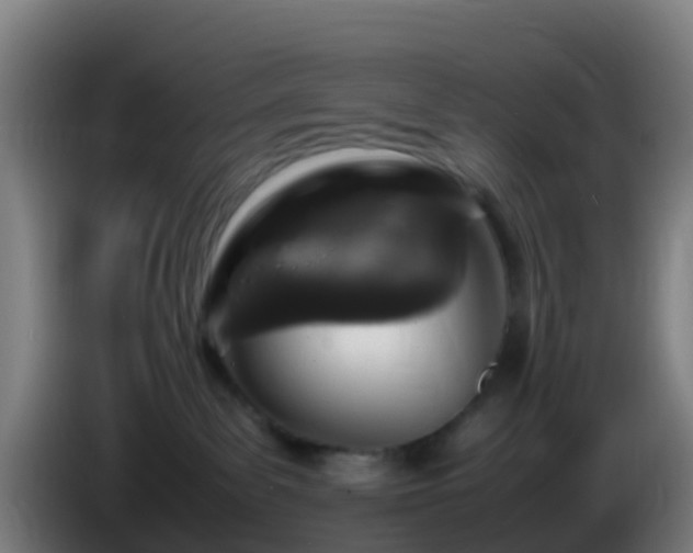 X0000086030139200703301102