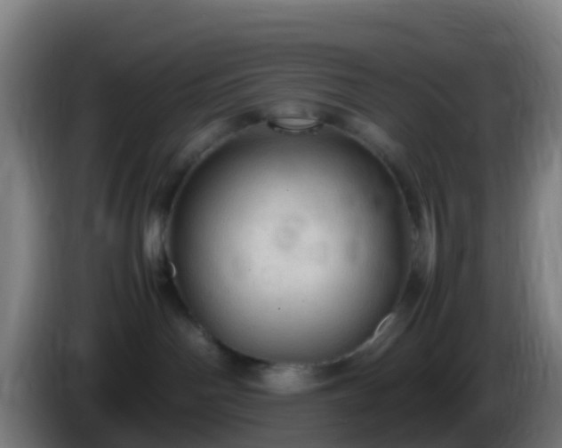 X0000086030142200703301102