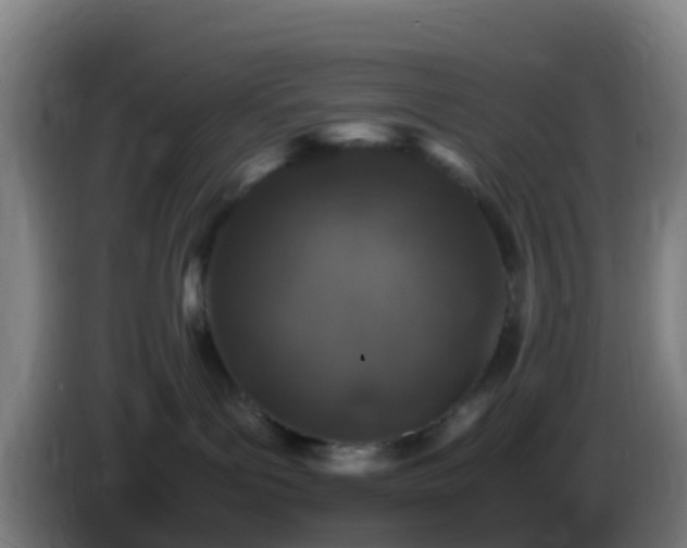 X0000086030143200703301102