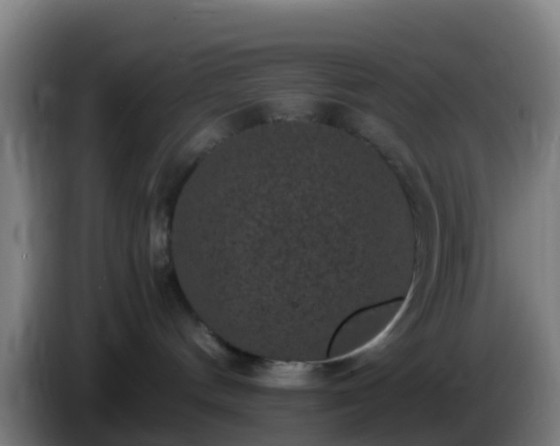 X0000086030144200703301102