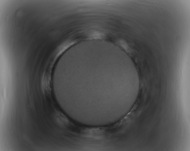 X0000086030146200703301101