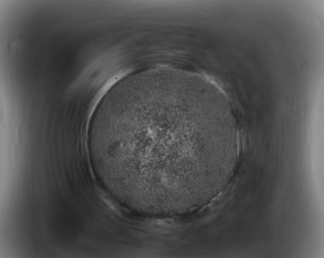 X0000086030147200703301101