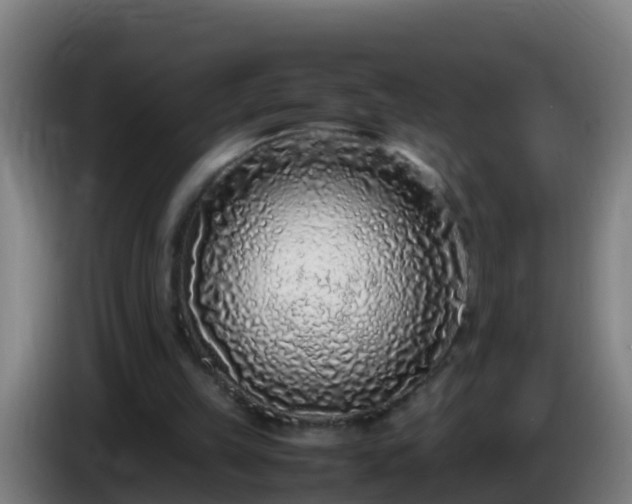 X0000086030149200703301102