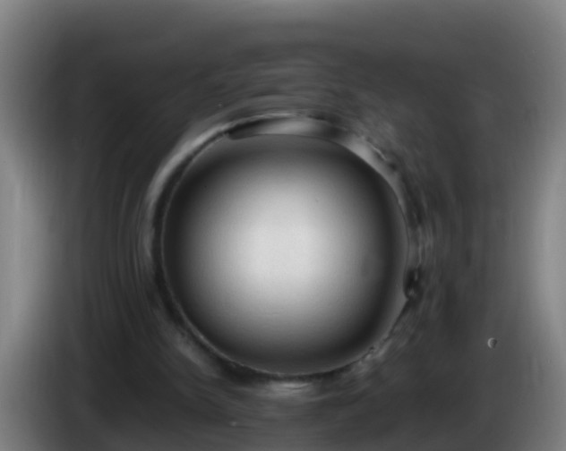 X0000086030150200703301102