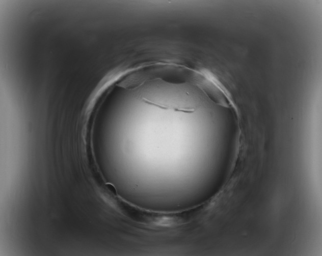 X0000086030151200703301102