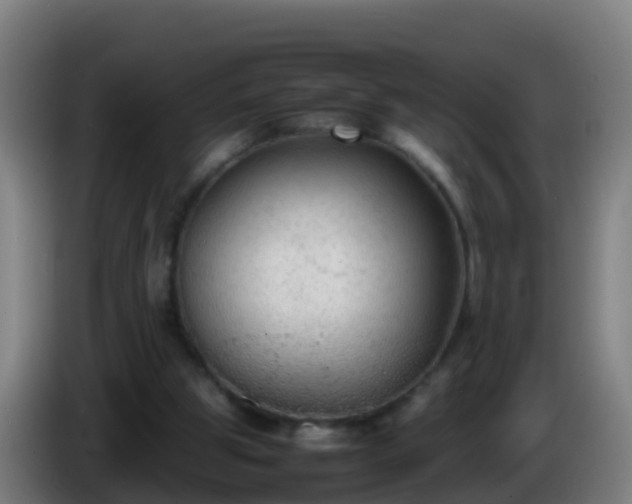 X0000086030153200703301102