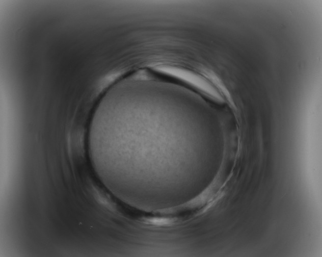 X0000086030154200703301102