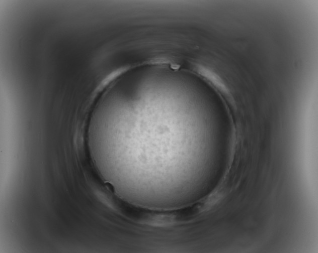 X0000086030155200703301102