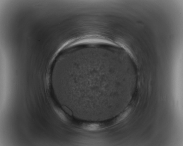 X0000086030156200703301102