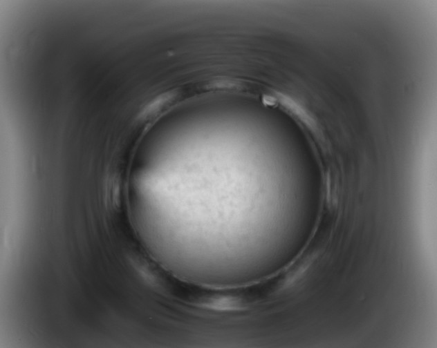 X0000086030157200703301102