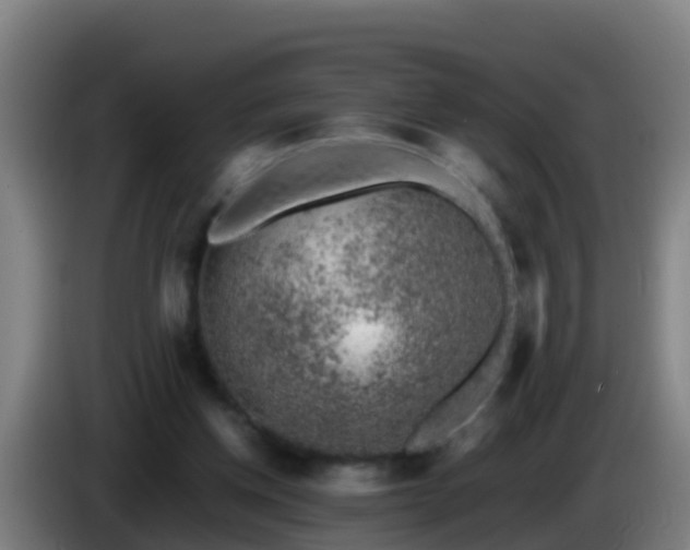 X0000086030158200703301102