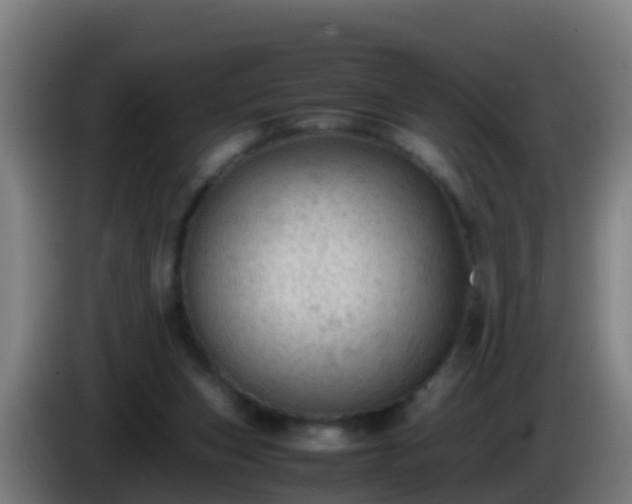 X0000086030159200703301102