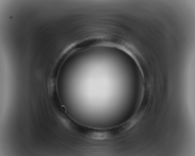 X0000086030160200703301102