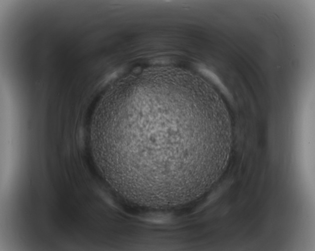 X0000086030161200703301102