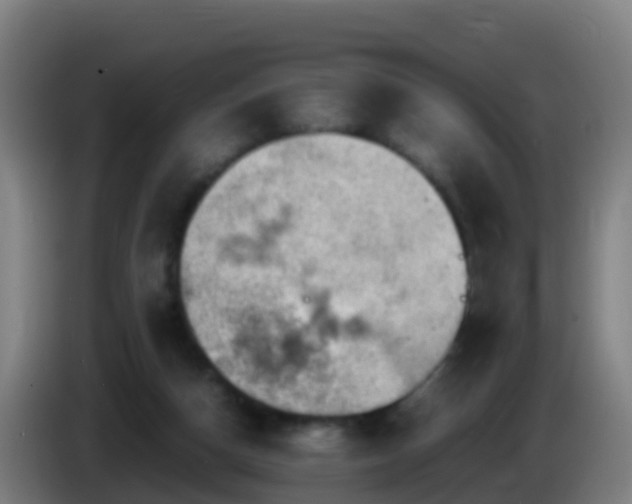 X0000086030162200703301102