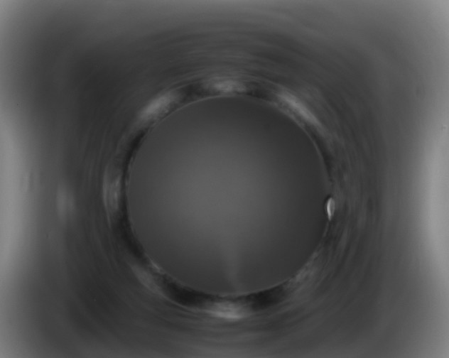 X0000086030163200703301102