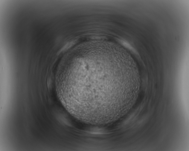 X0000086030165200703301102