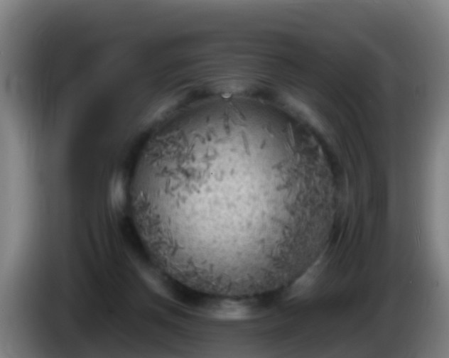 X0000086030166200703301102