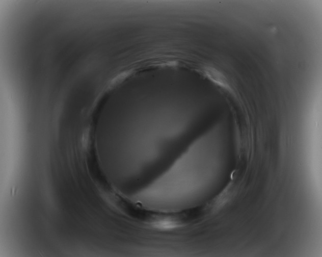 X0000086030167200703301102