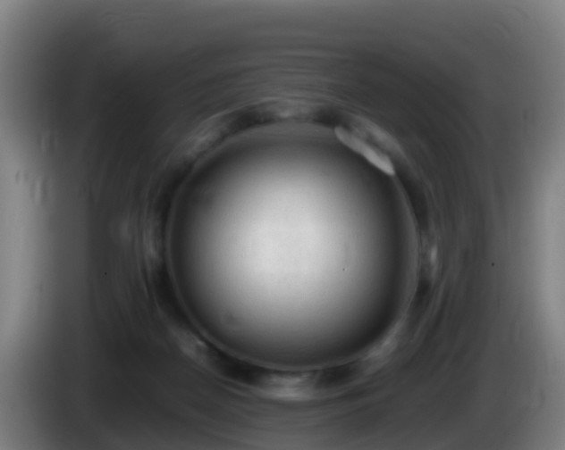 X0000086030170200703301102