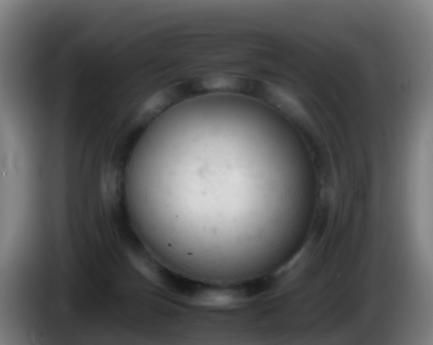 X0000086030171200703301102