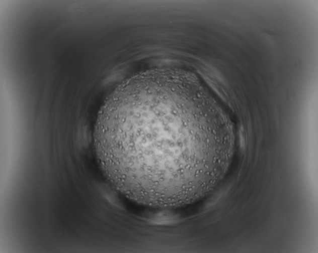 X0000086030173200703301102