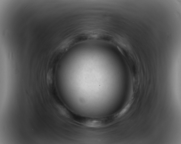 X0000086030174200703301102