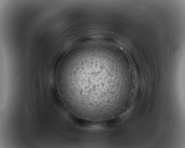 X0000086030175200703301102