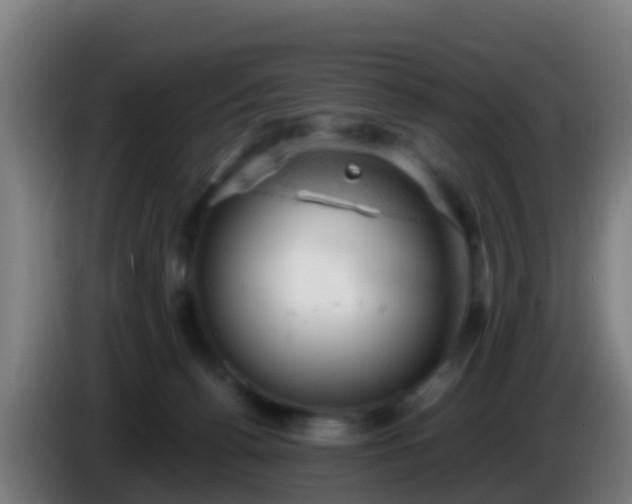 X0000086030176200703301102