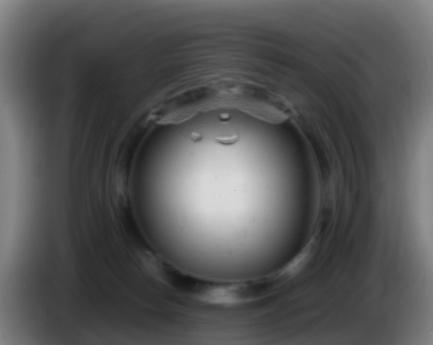 X0000086030178200703301102