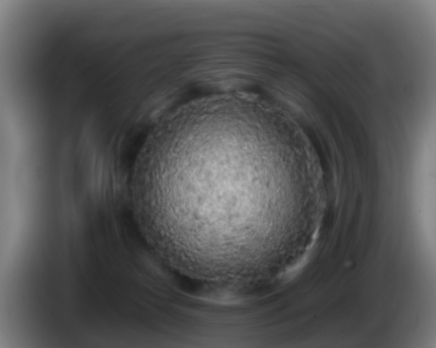 X0000086030182200703301102