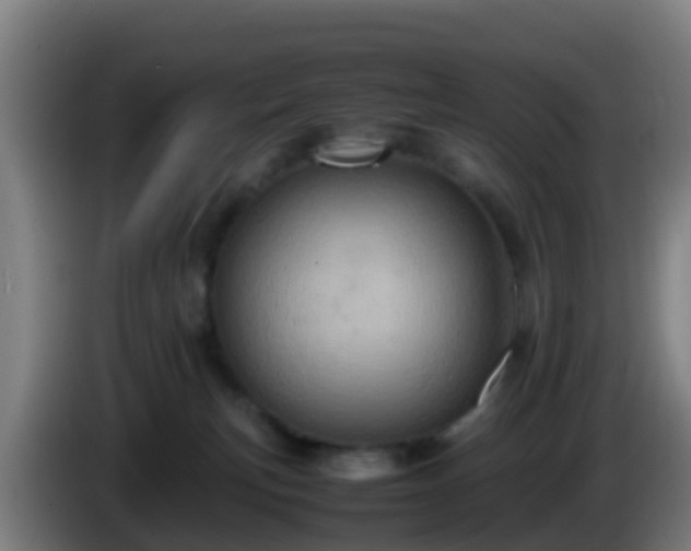 X0000086030183200703301102