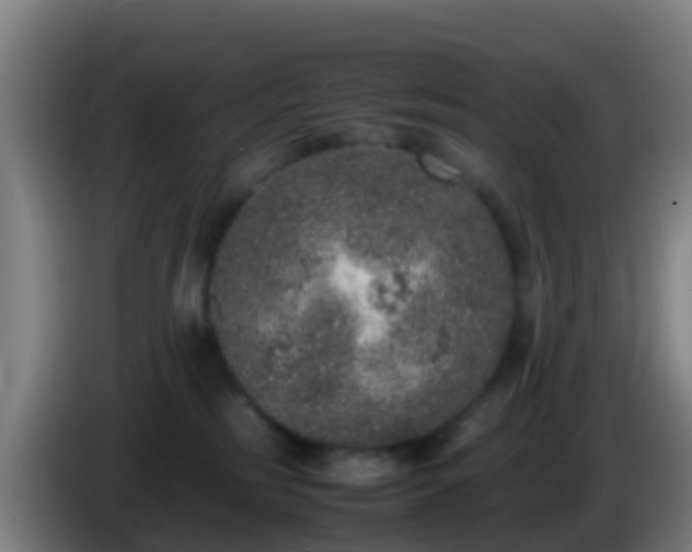 X0000086030185200703301102