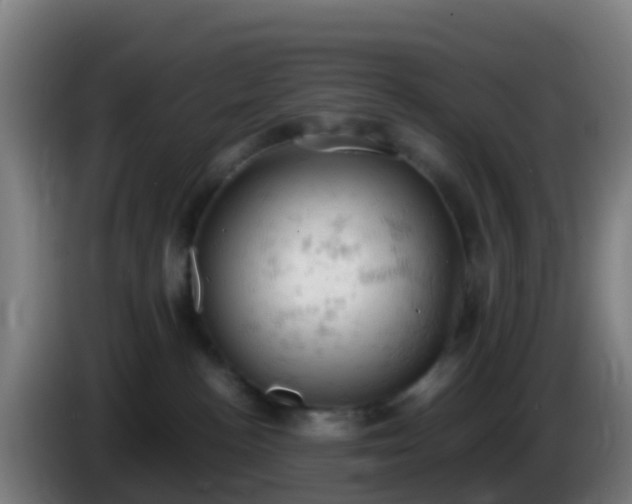 X0000086030188200703301102