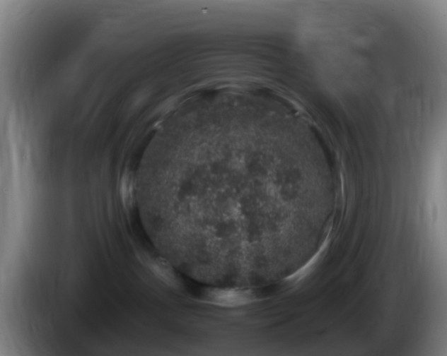 X0000086030191200703301102