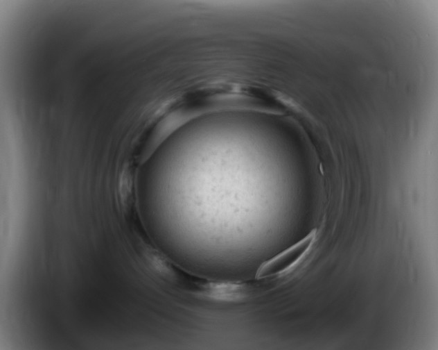 X0000086030192200703301102