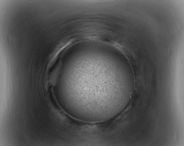 X0000086030194200703301101