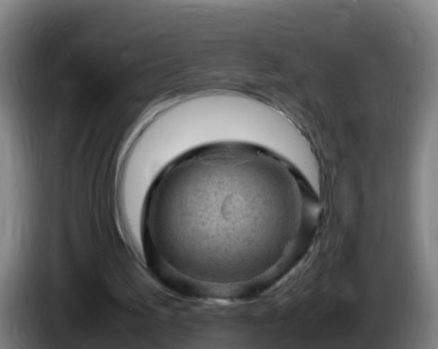 X0000086030195200703301101