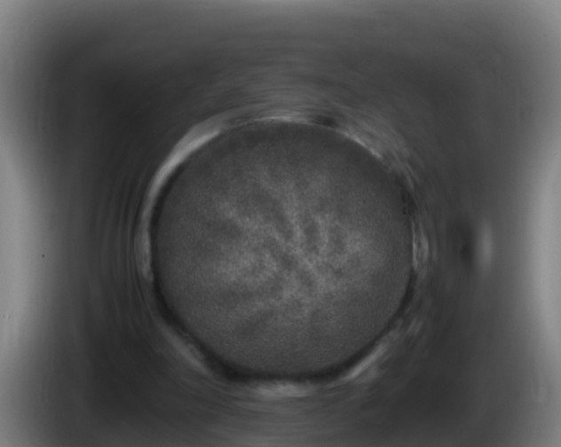 X0000086030198200703301101